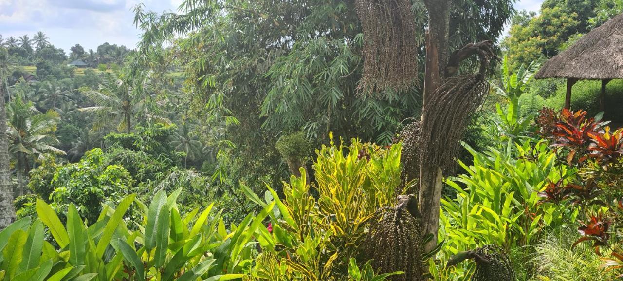 Rumah Sungai Villa Ubud Eksteriør billede