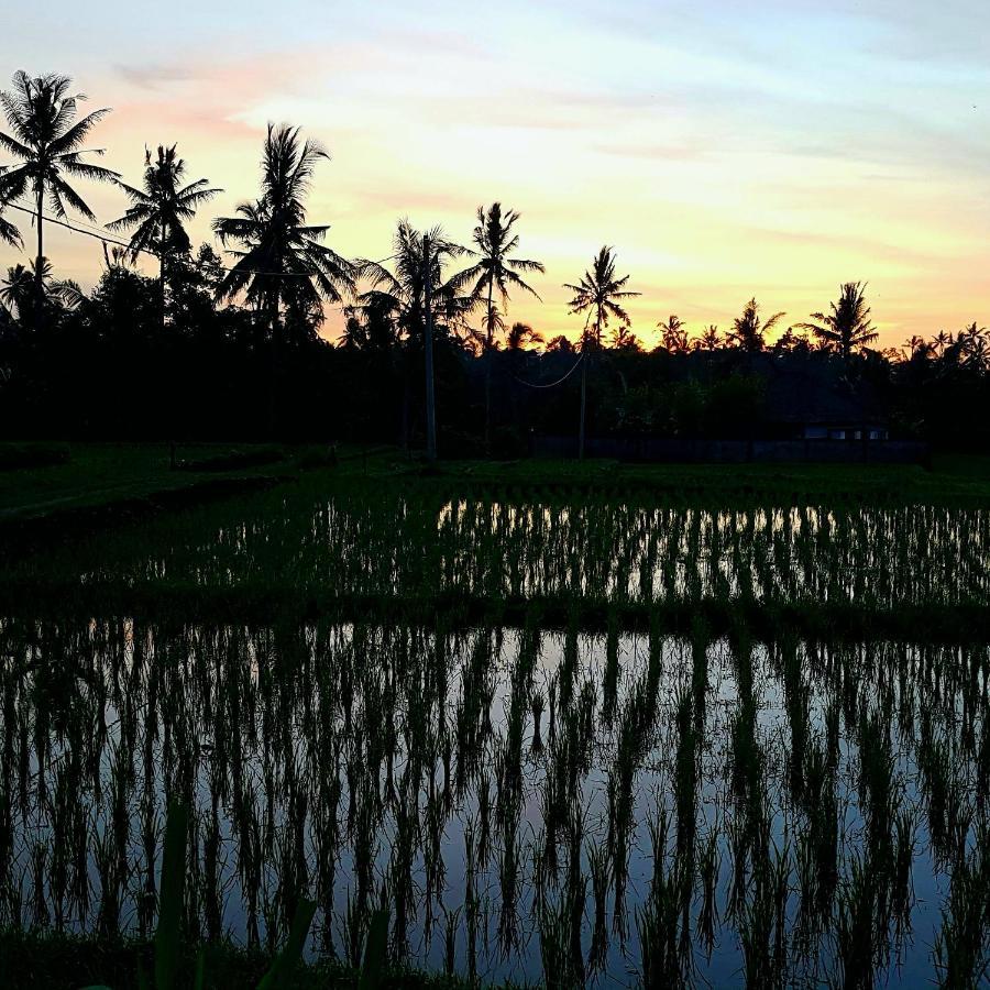 Rumah Sungai Villa Ubud Eksteriør billede