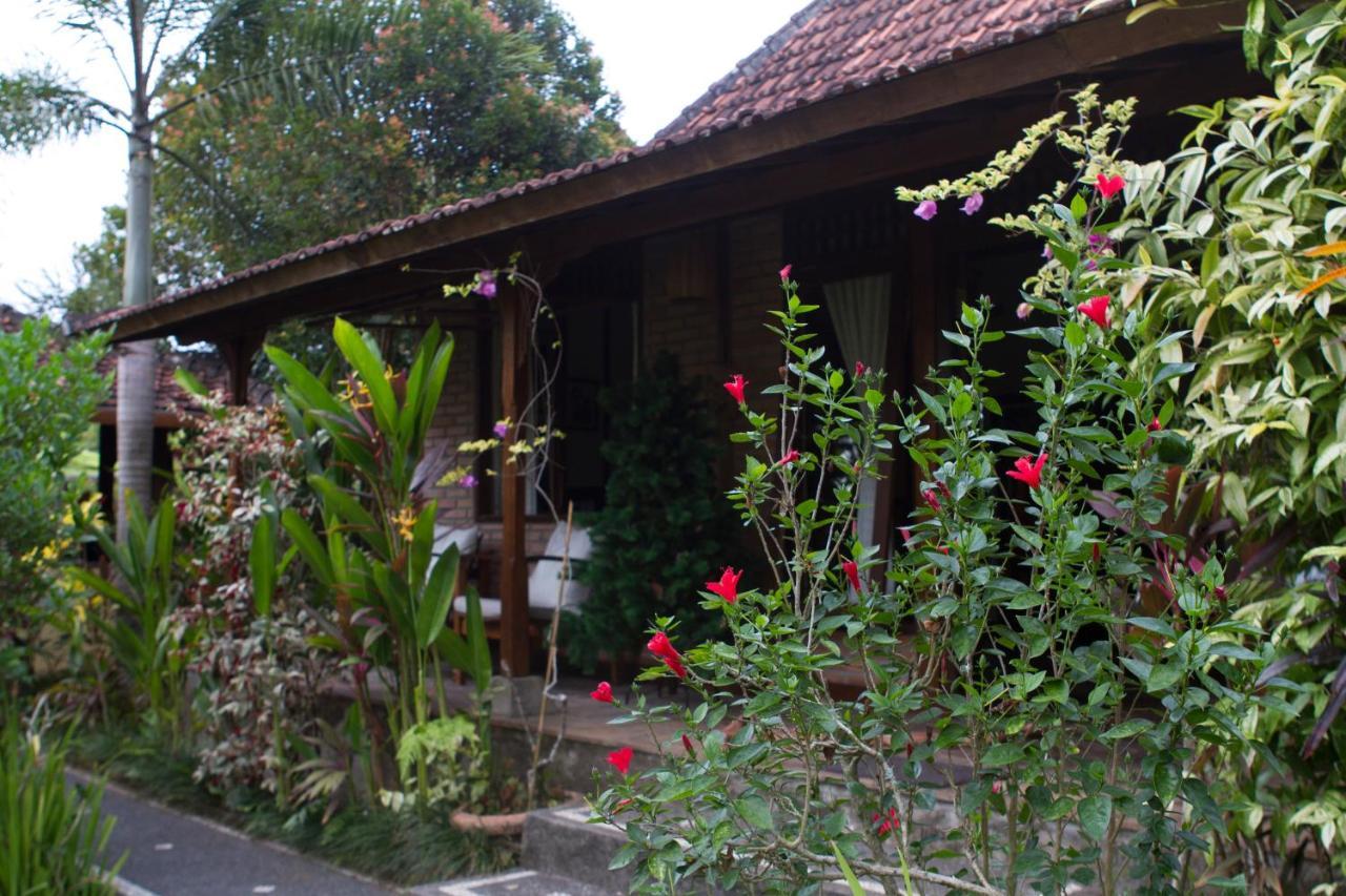 Rumah Sungai Villa Ubud Eksteriør billede
