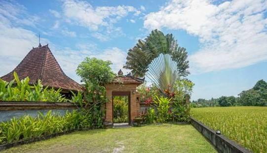 Rumah Sungai Villa Ubud Eksteriør billede