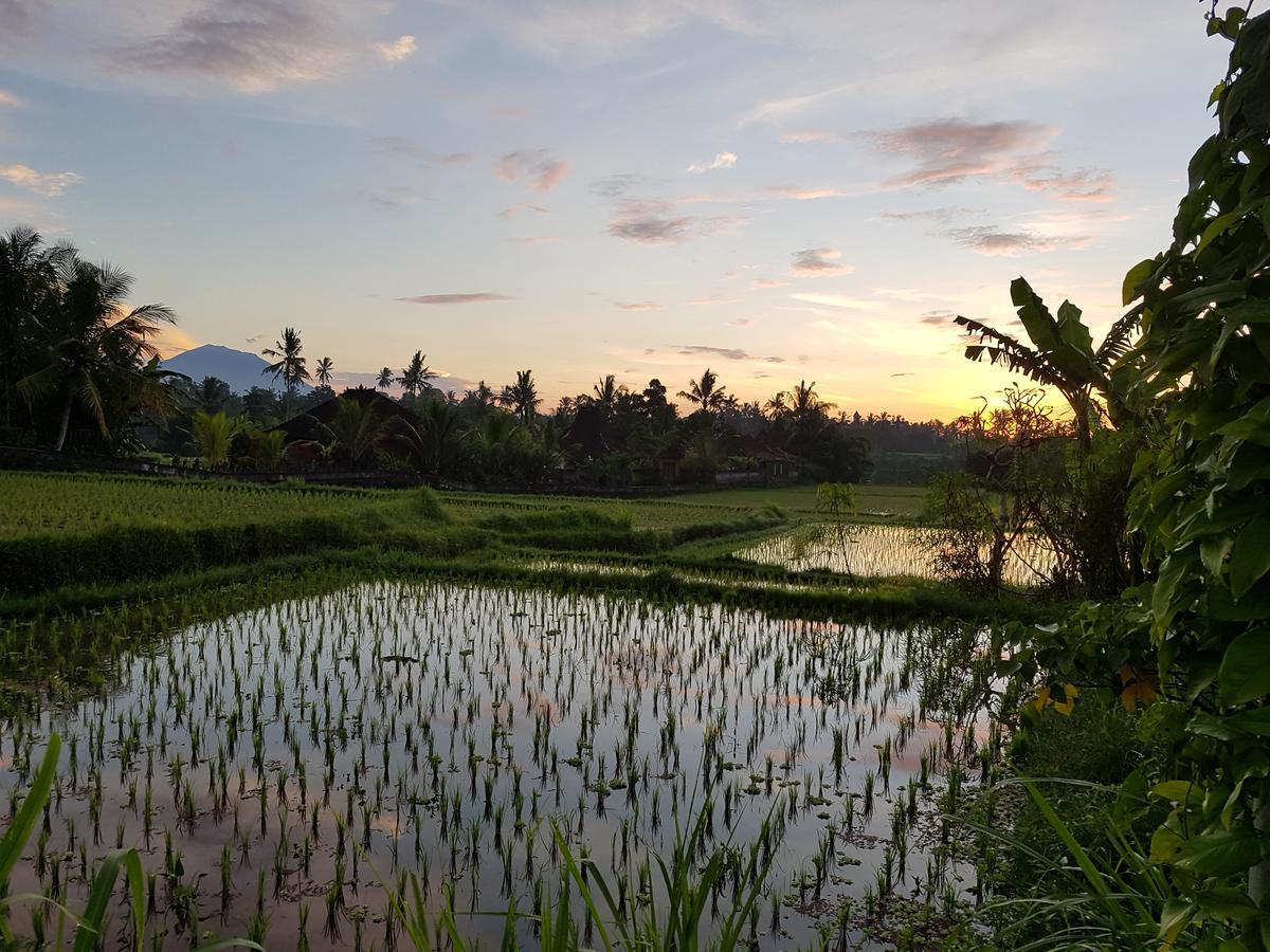 Rumah Sungai Villa Ubud Eksteriør billede