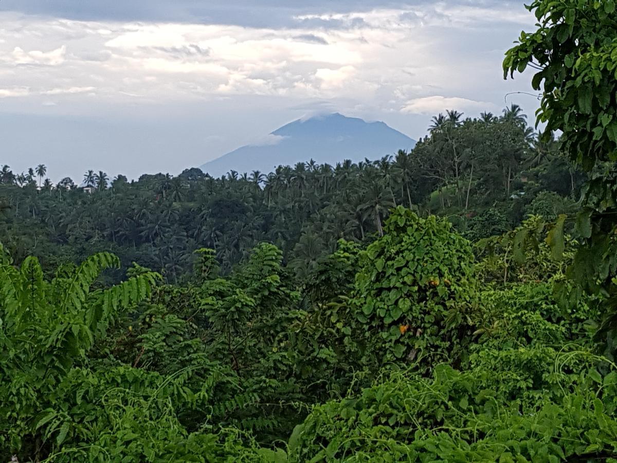 Rumah Sungai Villa Ubud Eksteriør billede