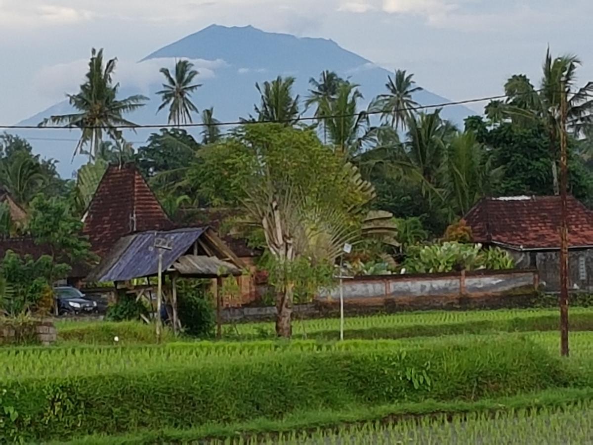 Rumah Sungai Villa Ubud Eksteriør billede